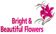Bright & Beautiful Flowers