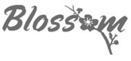Blossom Florist