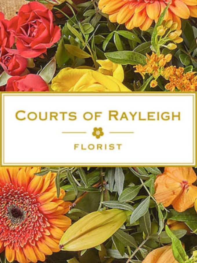 Courts Of Rayleigh